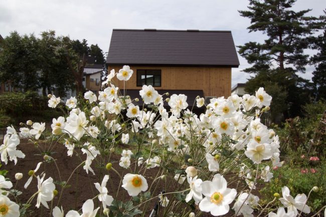 Harvest House Nozawa Onsen