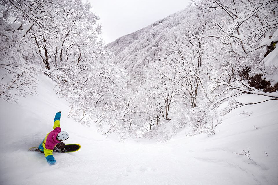 Ski Japan Cheap Flights Nozawa Onsen 