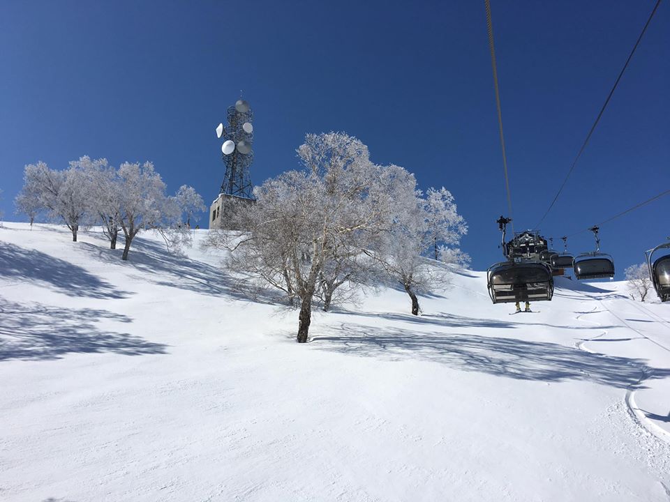 Snoga Snow Yoga Nozawa Onsen