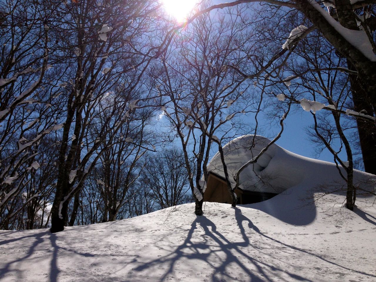 Nozawa Onsen Ski Resort Opening Date Winter 2017/18