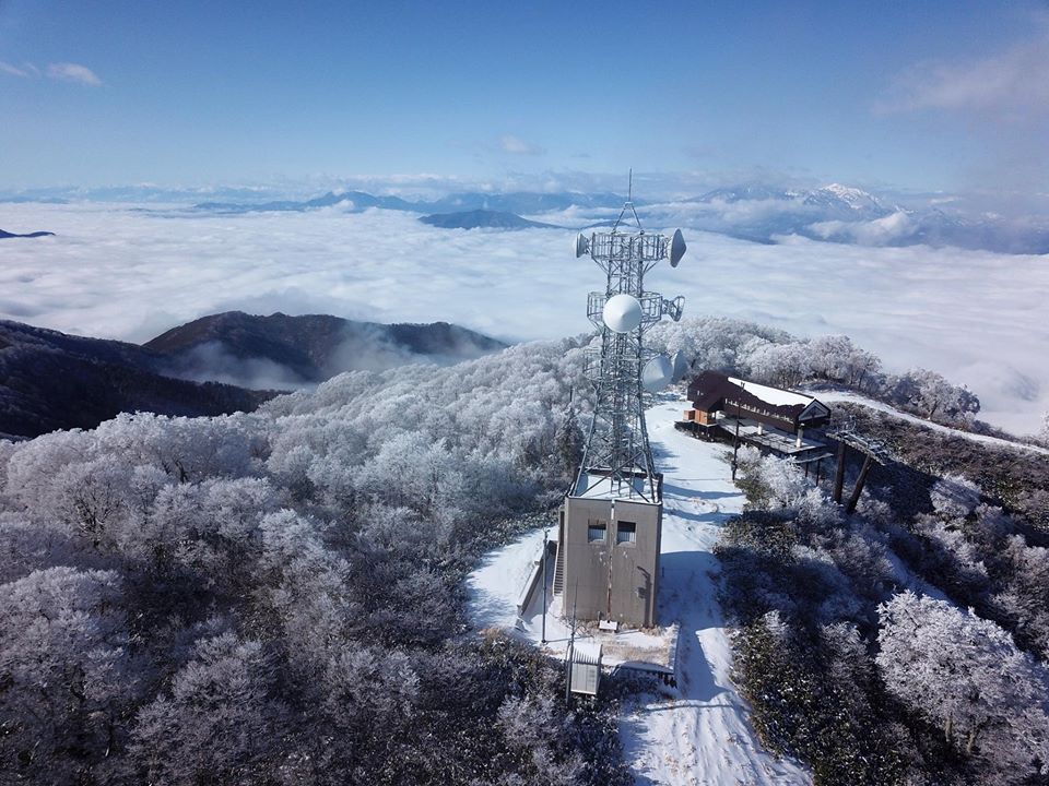 Heavy Snow Forecast Nozawa Onsen 