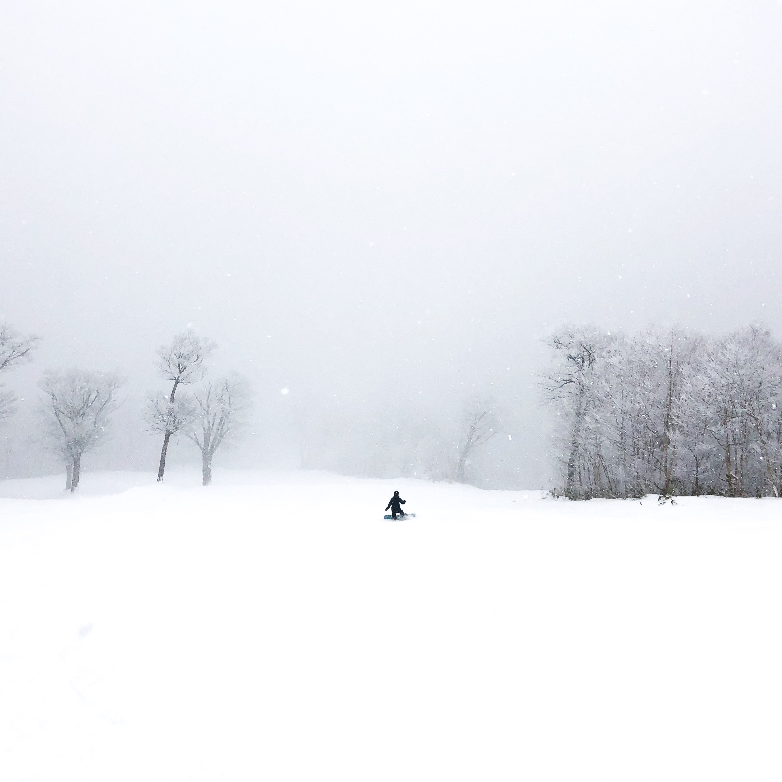 Slopes to yourself, Nozawa Onsen