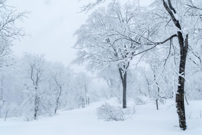 Nozawa Onsen Snow Report 28th Dec 2017