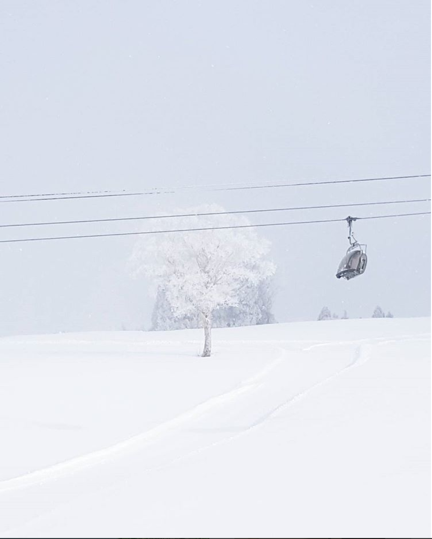 Quiet Nozawa Onsen, Instagram by @styledbypt