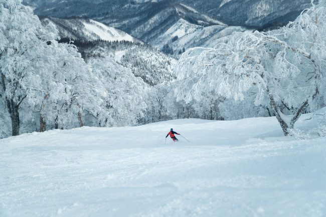 Nozawa Snow Report Saturday 6th January 2018