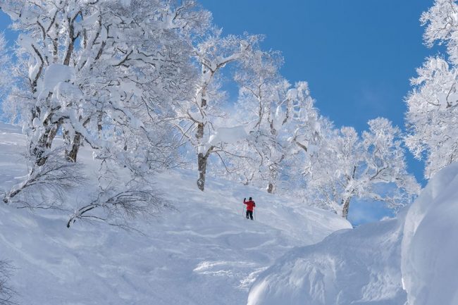 Snow Season Nozawa Onsen Japan 