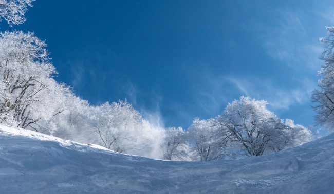 Nozawa Snow Report Sunday 25th of February 2018