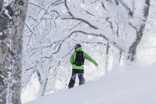 Nozawa Snow Report Thursday 15th of February 2018