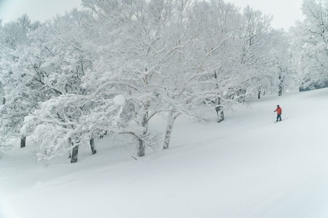 Nozawa Snow Report Thursday 22nd of February 2018