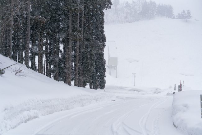 Nozawa Snow Report Wednesday 21st of February 2018