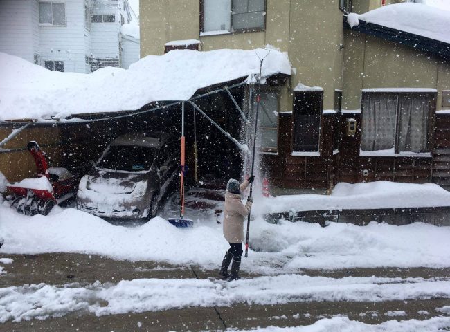 Snow Season Nozawa Onsen 