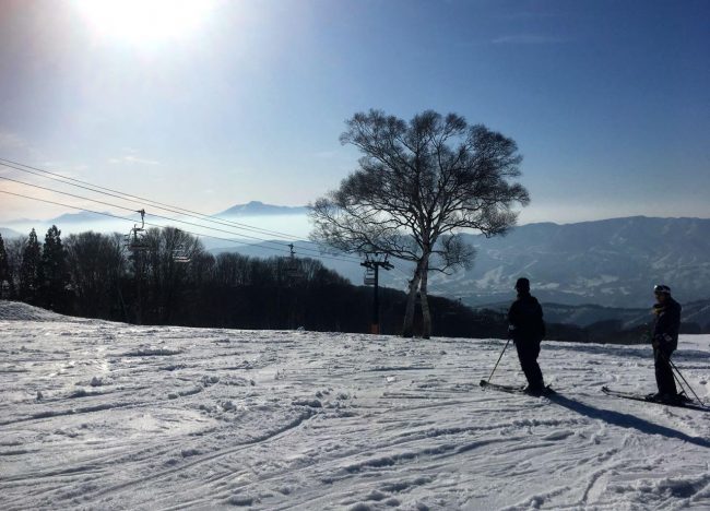 Nozawa Spring Magic