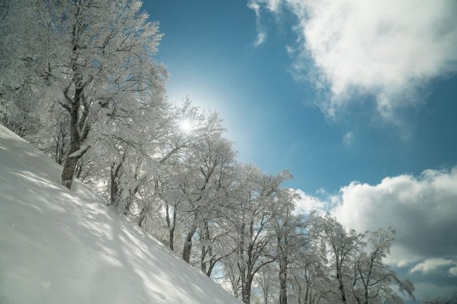 Nozawa Snow Report Saturday 3rd of March 2018