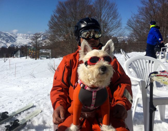 Nozawa Onsen snow