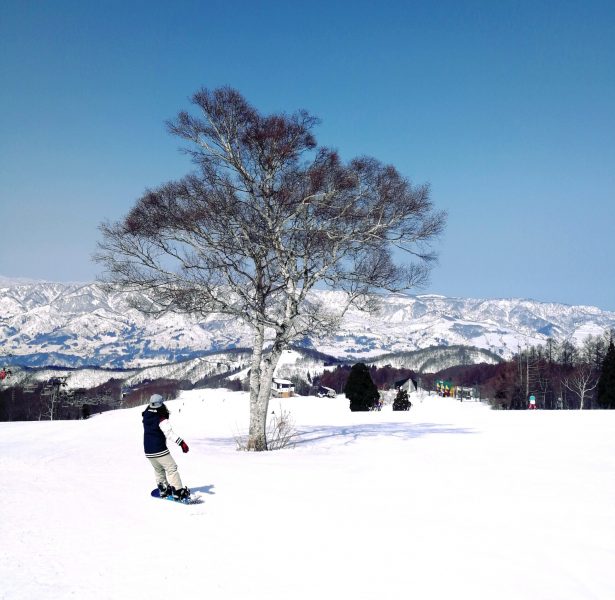 Slide Into Nozawa Spring