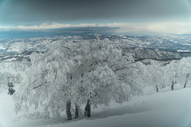 Nozawa Snow Report Friday 9th of March 2018