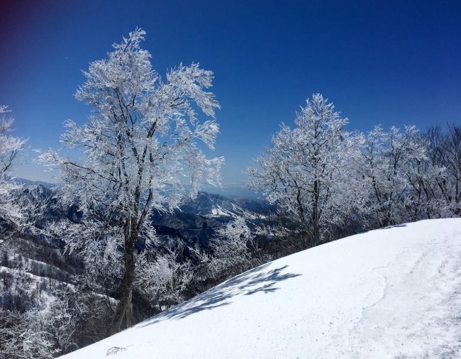 Spring Skiing Japan - Nozawa Onsen 