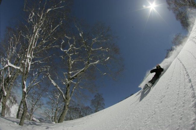 April Snow Nozawa