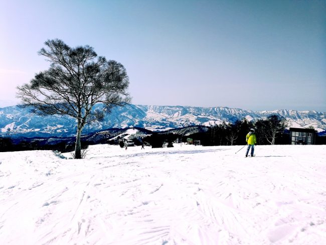 April Snow For Nozawa Onsen?