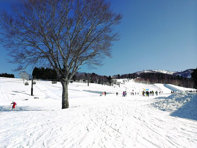 April Skiing Nozawa Style