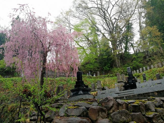 Nozawa Onsen on a Rainy Day