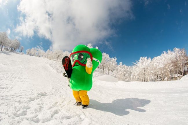 10 Facts Nozawa Onsen