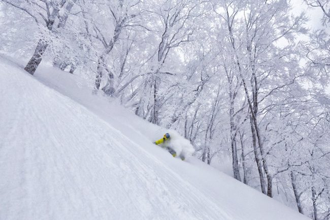 Nozawa Onsen Terrain and Runs 