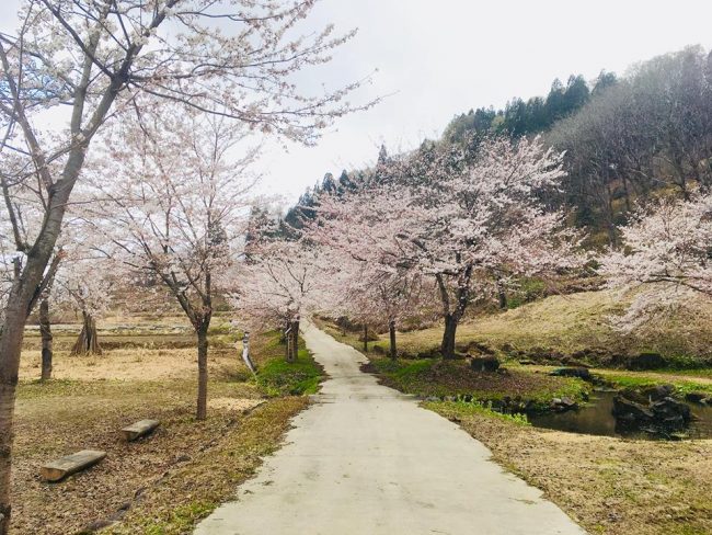 3 Great Day Trips from Nozawa Onsen