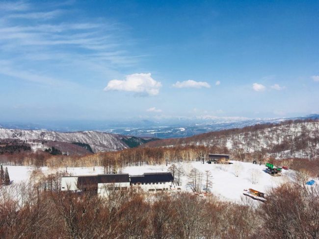 Snow Under Sunny Nozawa Skies