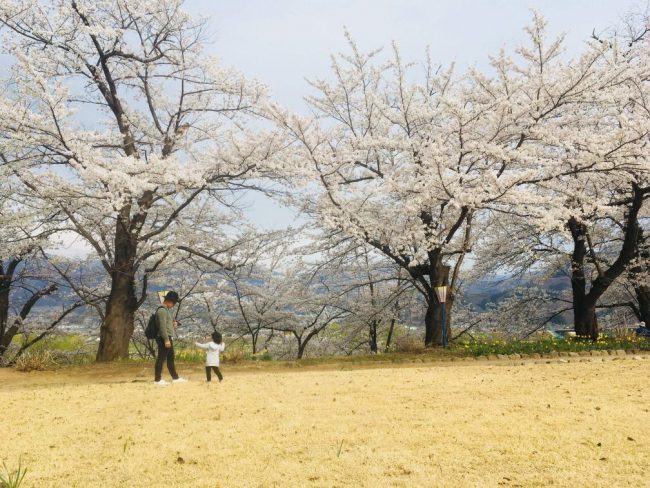 Late Season Nozawa Snow