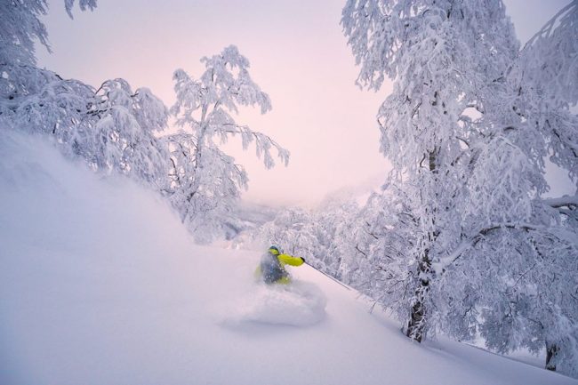 Back Country Touring Nozawa Onsen Japan 