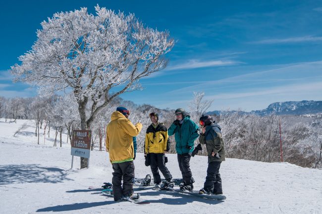 Nozawa Locals Tips