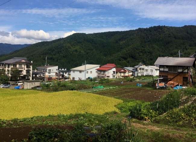 Remote Working Japan