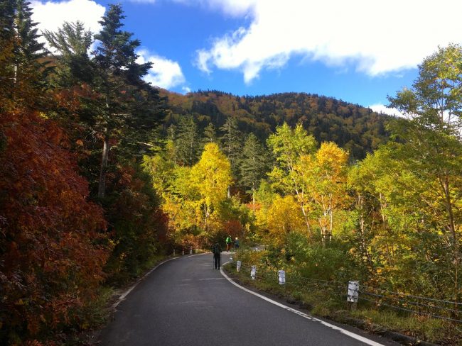 Autumn Hiking Nagano Japan 