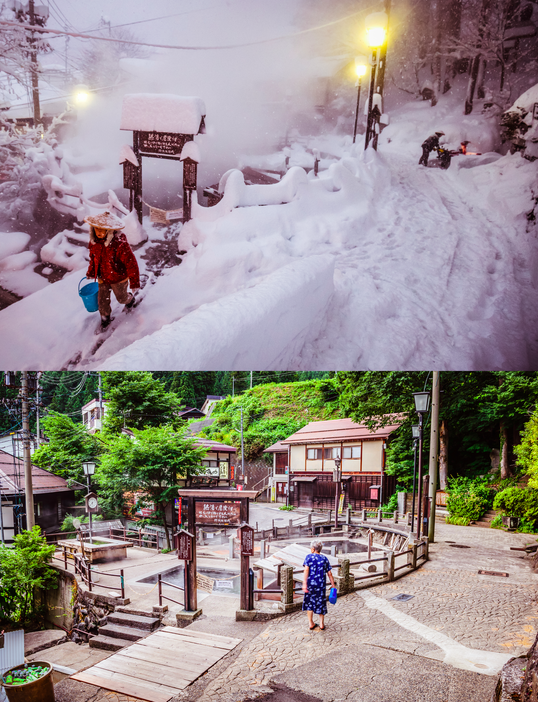 summer vs winter comparison