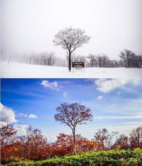 Nozawa Onsen Summer v Winter