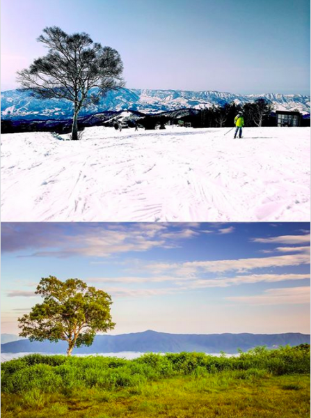 Nozawa Onsen Summer v Winter