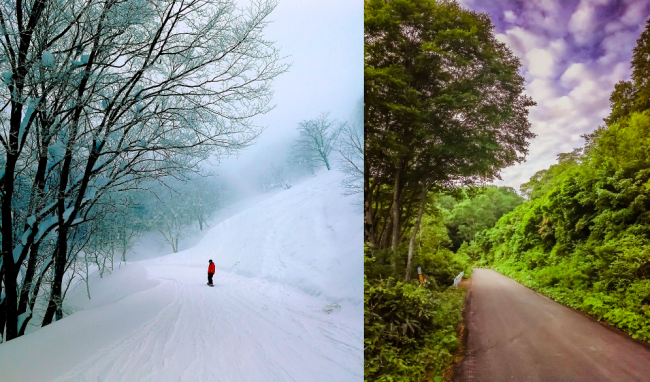 Nozawa Onsen Summer v Winter