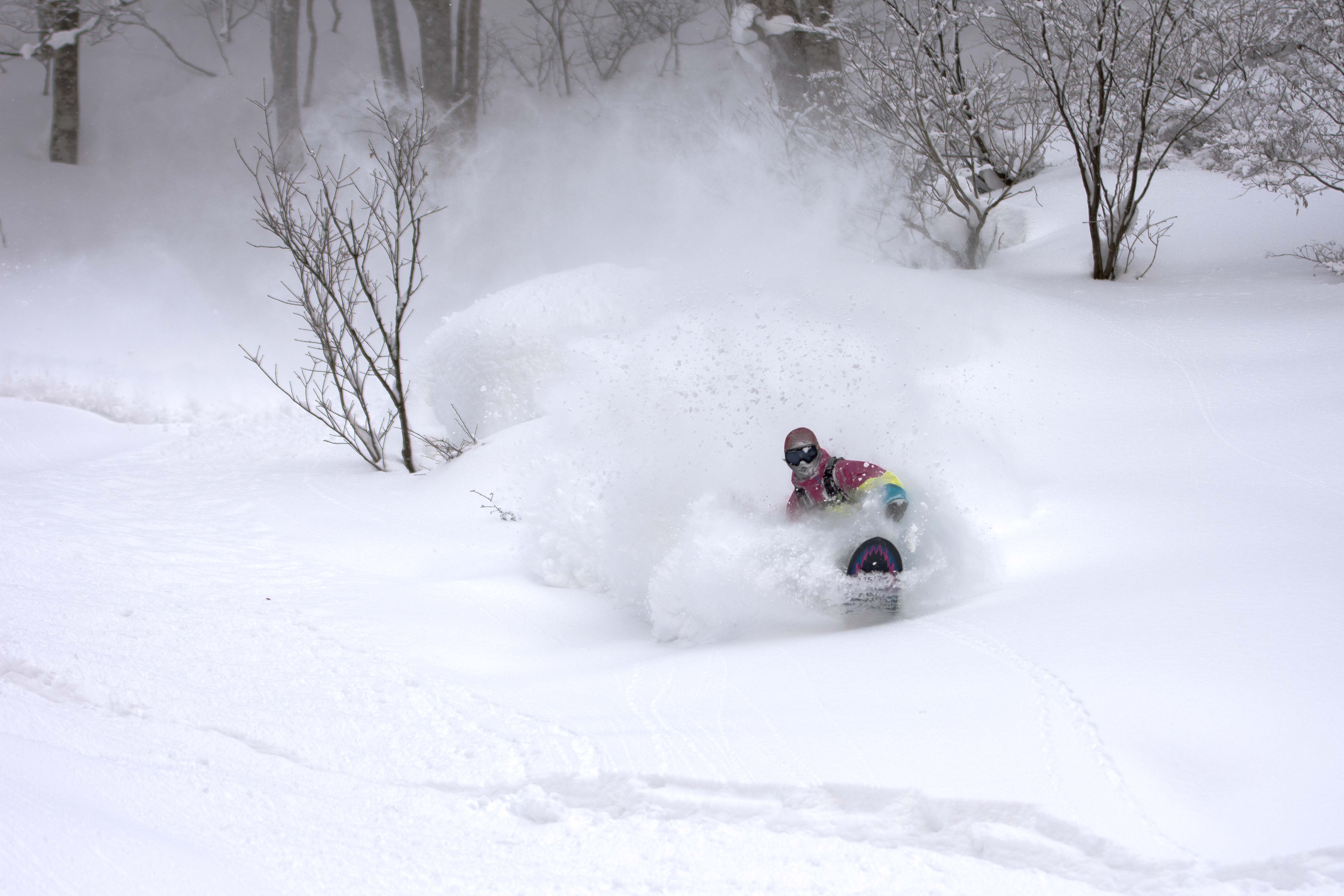 Try a Powder Board in the land of Powder Nozawa Holidays
