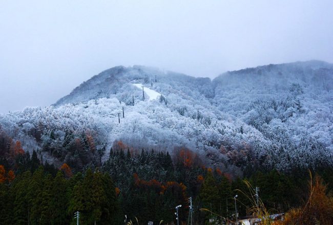 Nozawa Onsen First Snow Report 2019 Season 