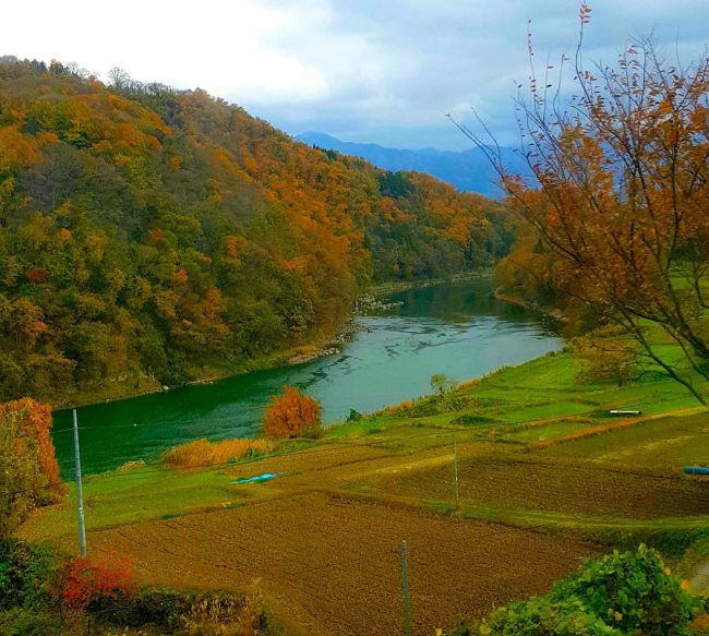 Autumn Travel Nozawa Japan