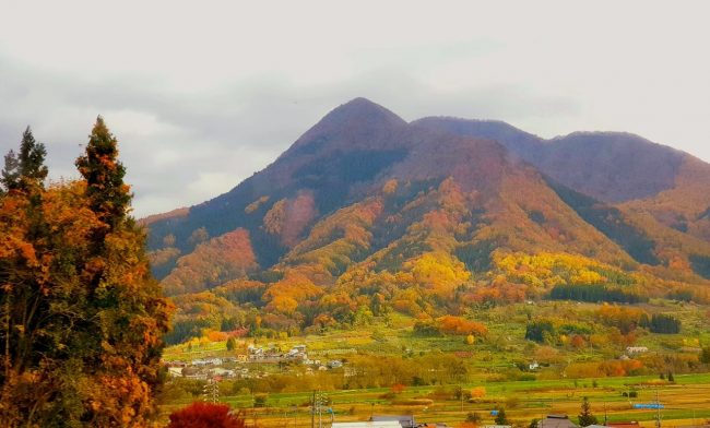 Autumn Travel Nozawa Japan 
