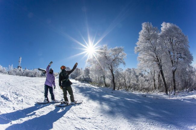 Snow Board Nozawa Onsen Style