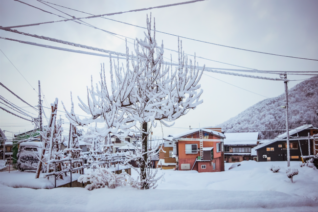 Winter in Nozawa