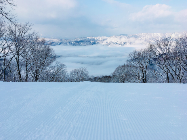 Fresh Nozawa Snow