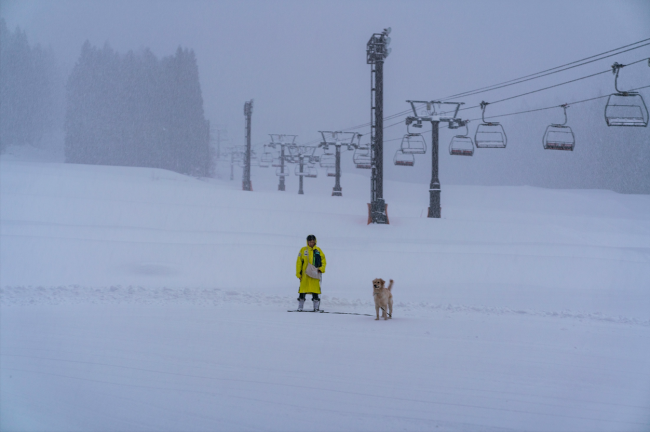 Nozawa Onsen Snow Report