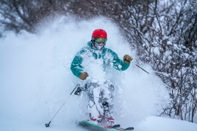 Nozawa Onsen Ski Powder