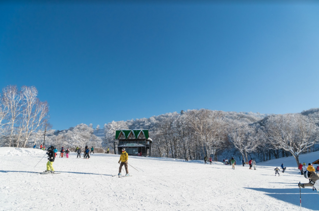 Nozawa Onsen Snow