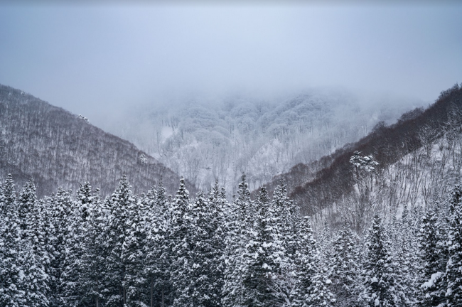 Nozawa Onsen