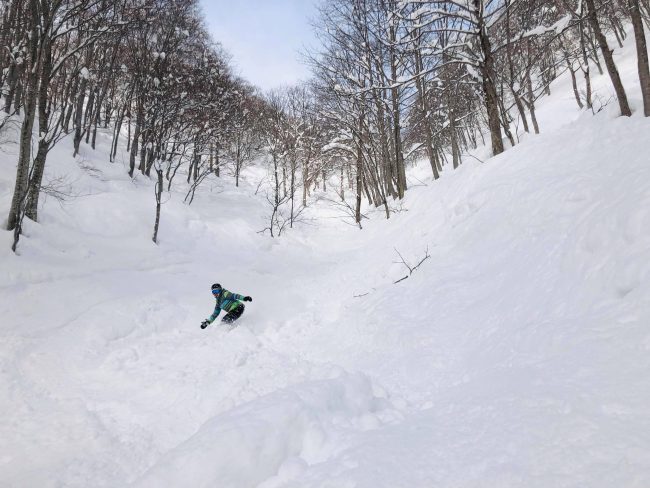 Nozawa Onsen Snow